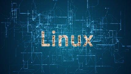 В Росії паніка: з Linux вивели 11 російських програмістів, а Торвальд іронічно прокоментував це.