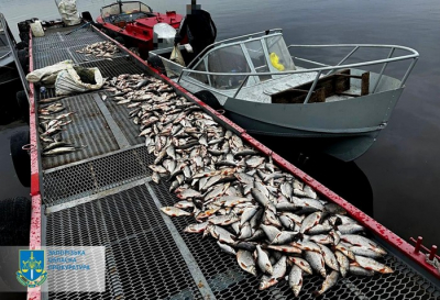 Двоє мешканців Запорізького району незаконно виловили риби зі шкодою на суму понад ₴3 млн.